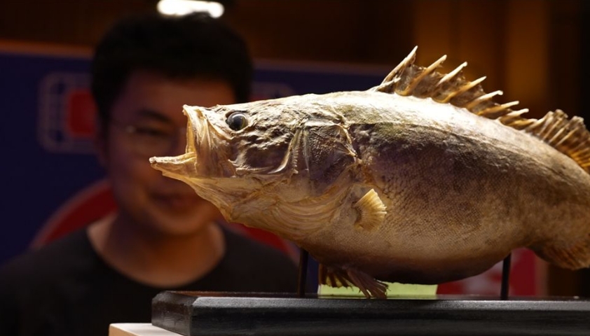 舌尖上的黑龙江丨探访哈尔滨松北区龙江第一村的鱼美食文化