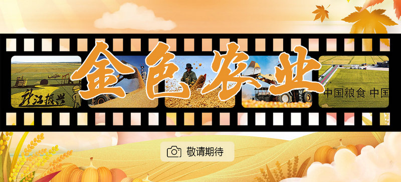 “镜头里的黑龙江——金色农业”网络图片展