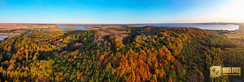 4《秋色》赵长林 13251551512.jpg