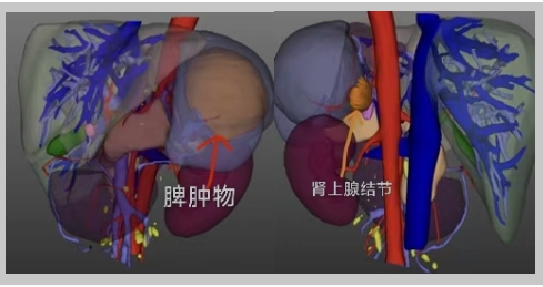 微信截图_20250415185833.png