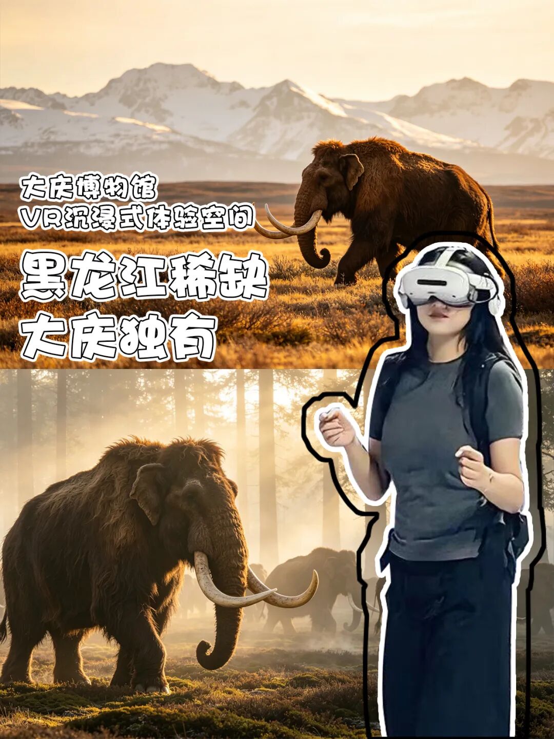 科技赋能文旅 大庆VR沉浸式体验