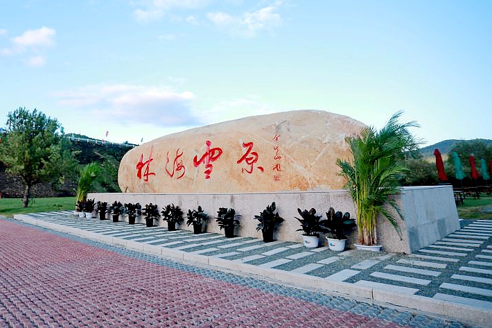 唤醒雪原，不负青山——林海雪原的时代答卷