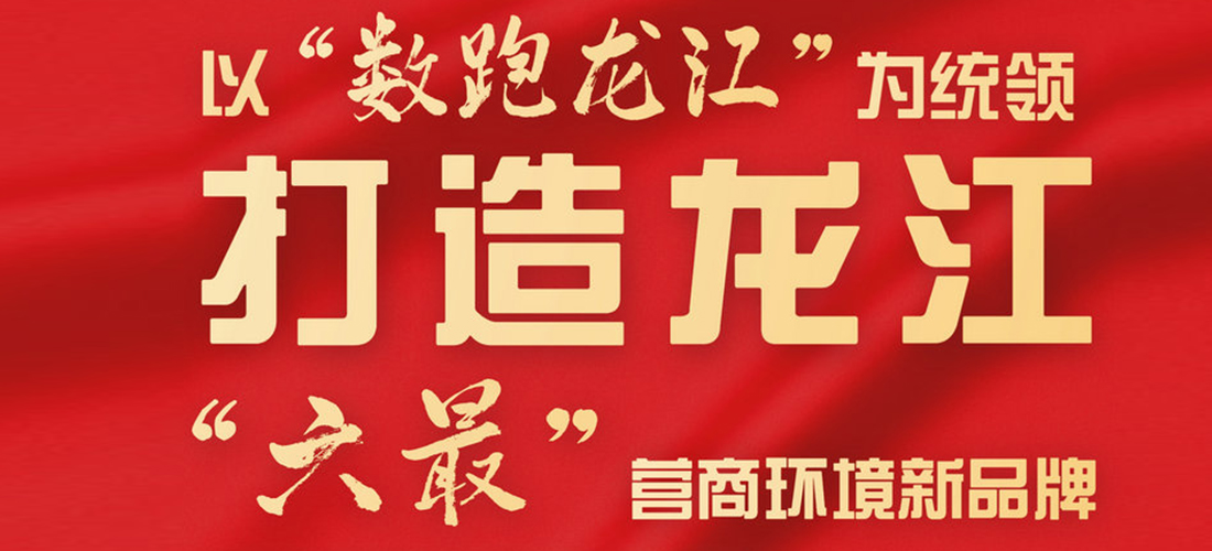以“数跑龙江”为统领 打造龙江“六最”营商环境新品牌