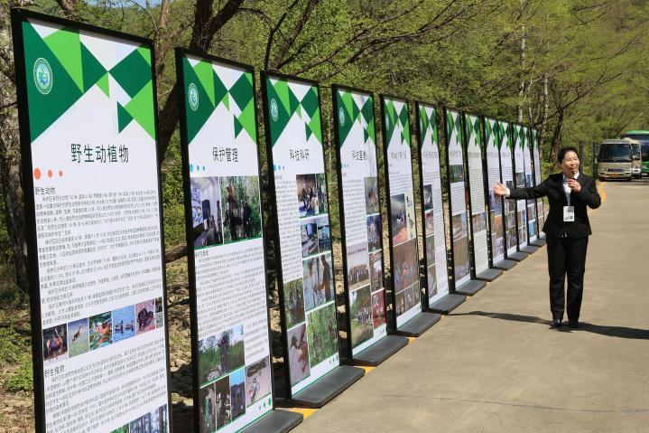 圖集 | 首屆森林防火高級專家（伊春）學術交流暨帶嶺林業局公司70年無重大森林火災大型演練經驗交流會（一）