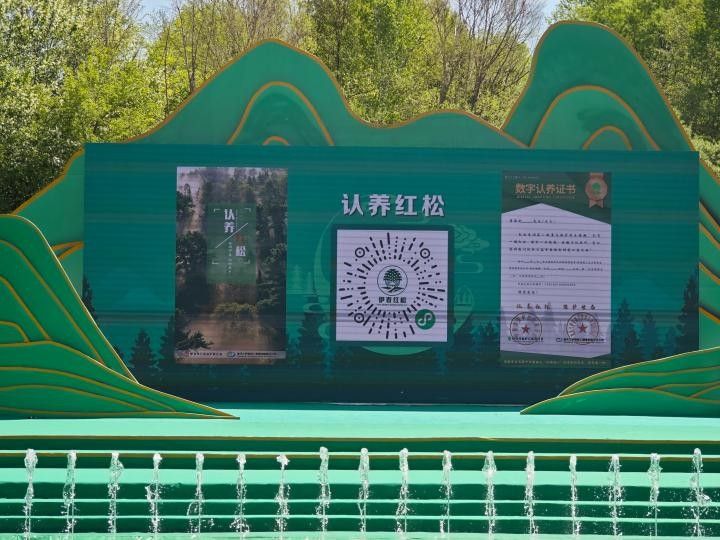 “我在伊春有棵樹”紅松認養活動在“中國林都”伊春舉行