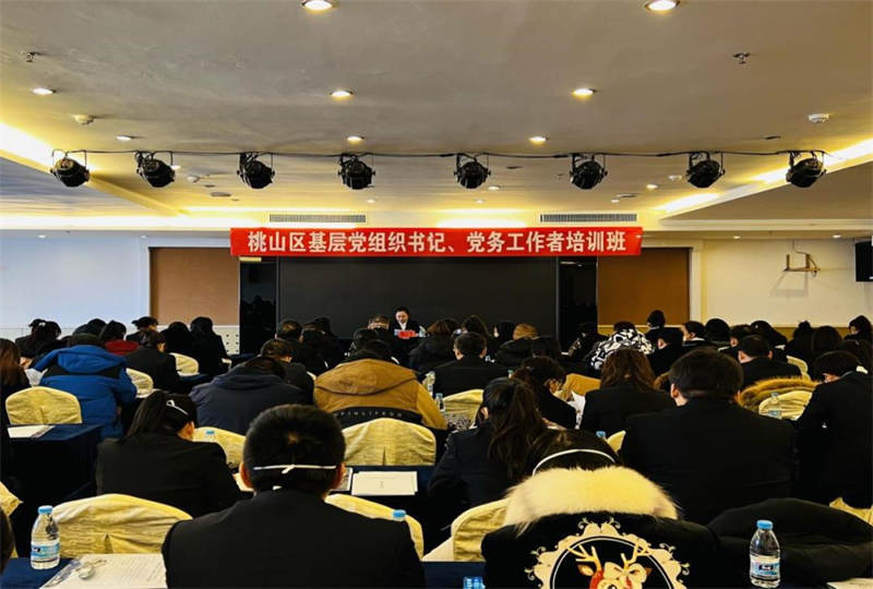 七台河市桃山区“三抓三提”助推基层党组织带头人队伍建设提质增效