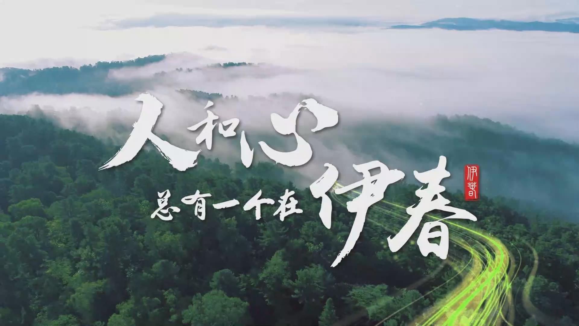 人和心，總有一個在伊春