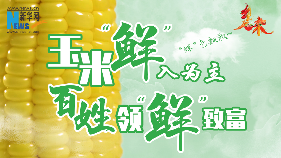 黑龍江青岡：玉米“鮮”百姓富