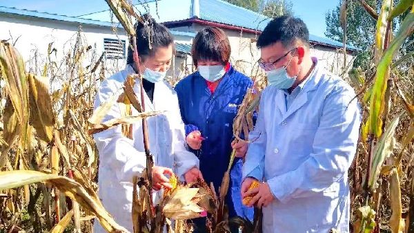 齐齐哈尔市梅里斯达斡尔族区推进“五良”融合 提升粮食综合产能